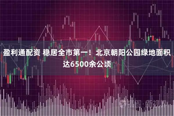 盈利通配资 稳居全市第一！北京朝阳公园绿地面积达6500余公顷